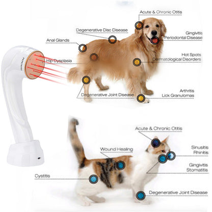 Pet Laser Therapy Joint Pain and Stiffness All Over Body Rheumatoid Arthritis Red Light Therapy At home